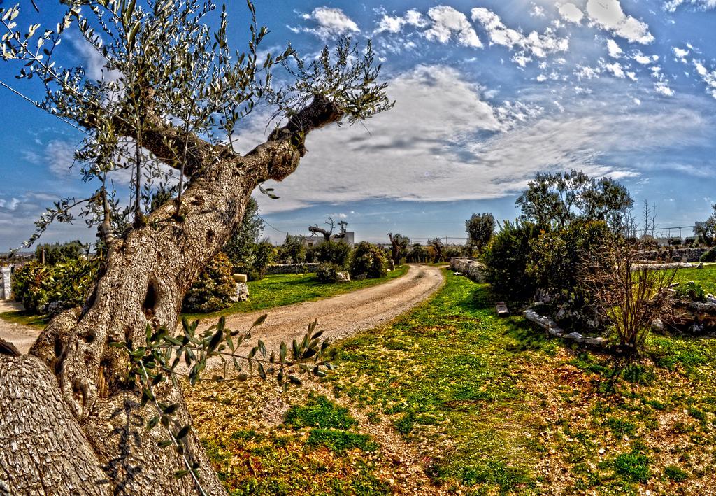 Masseria Rosa Trulli Relais Αλμπερομπέλο Εξωτερικό φωτογραφία